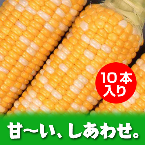 木曽駒高原産 『しあわせコーン』(10本入り)