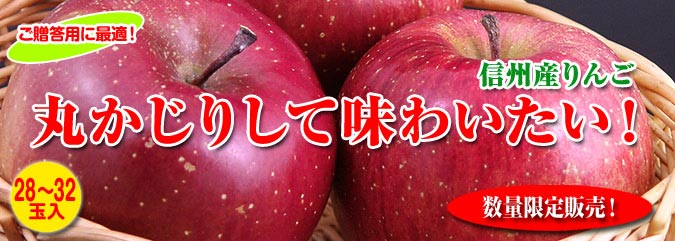 信州産 りんご お試し限定価格！#1